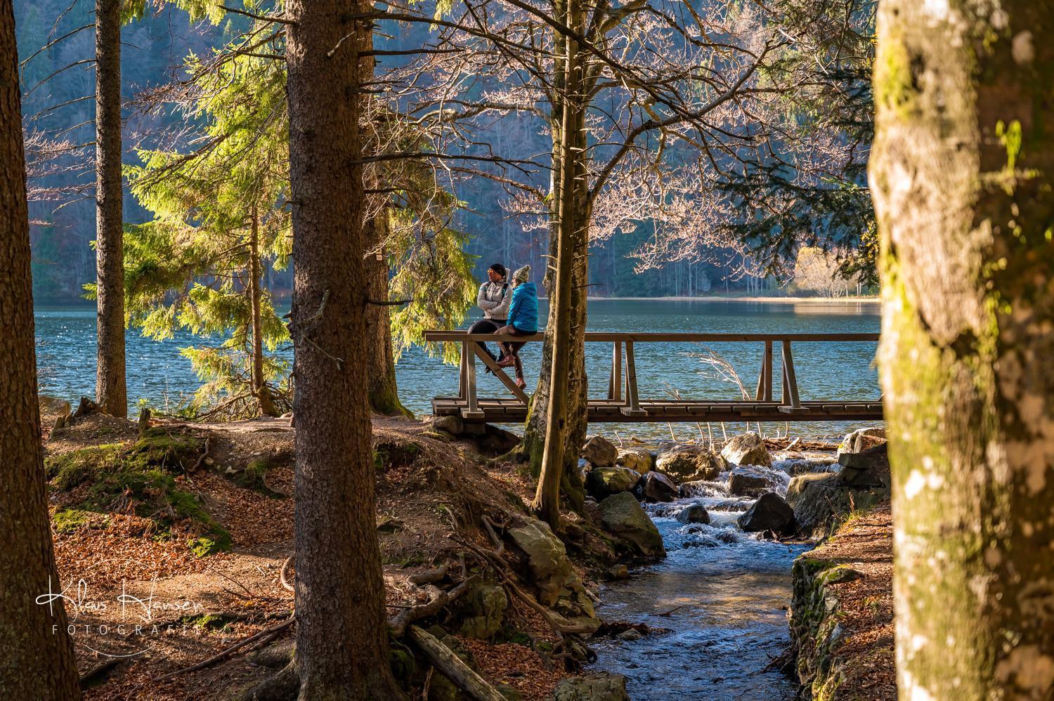 Apartment 03 - Ferienresidenz Roseneck, Mit Schwimmbad In Todtnauberg Bei Feldberg Dış mekan fotoğraf