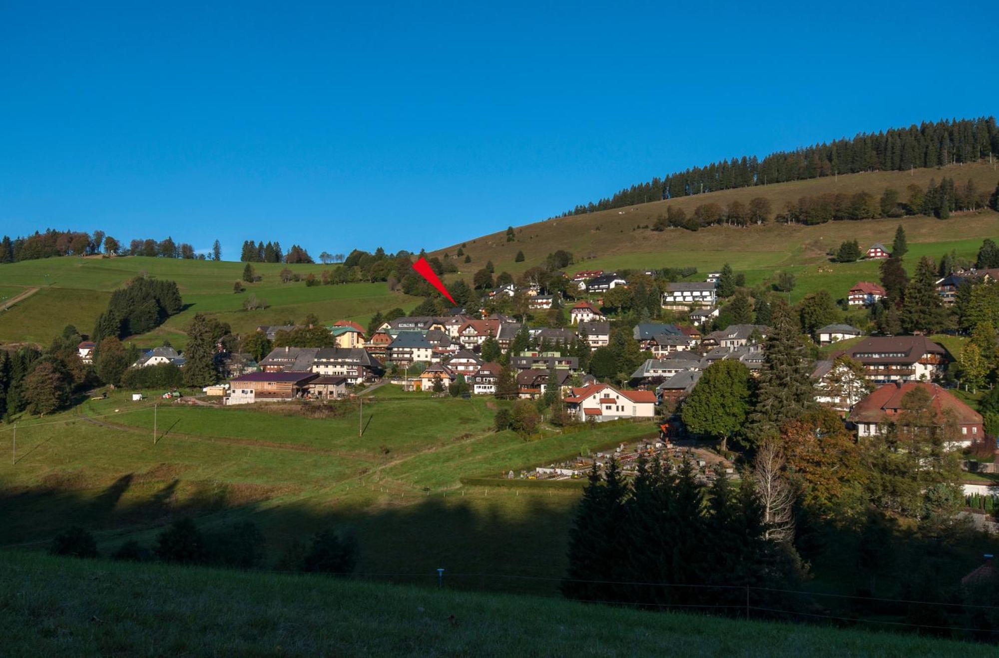 Apartment 03 - Ferienresidenz Roseneck, Mit Schwimmbad In Todtnauberg Bei Feldberg Dış mekan fotoğraf