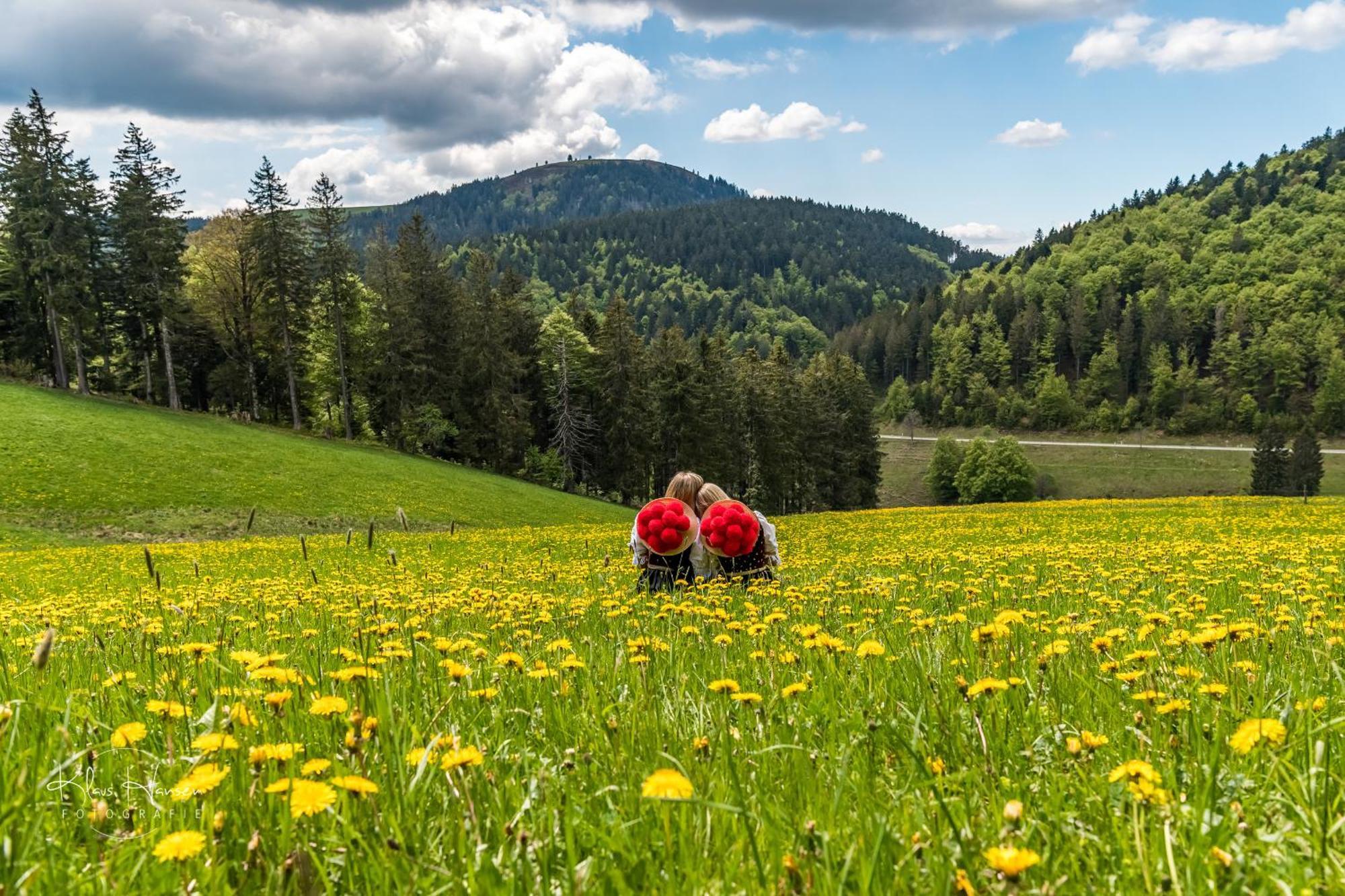 Apartment 03 - Ferienresidenz Roseneck, Mit Schwimmbad In Todtnauberg Bei Feldberg Dış mekan fotoğraf
