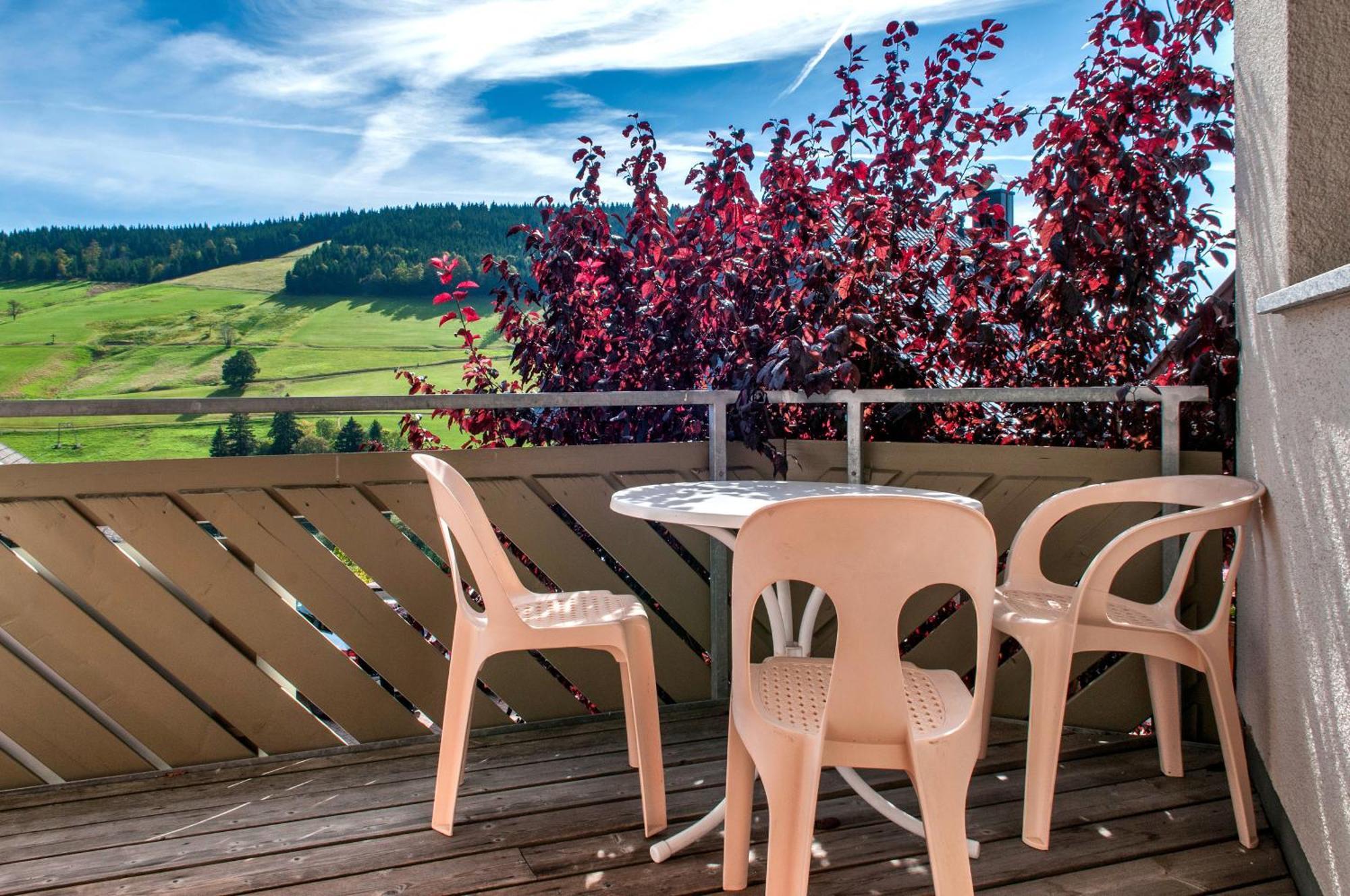 Apartment 03 - Ferienresidenz Roseneck, Mit Schwimmbad In Todtnauberg Bei Feldberg Dış mekan fotoğraf