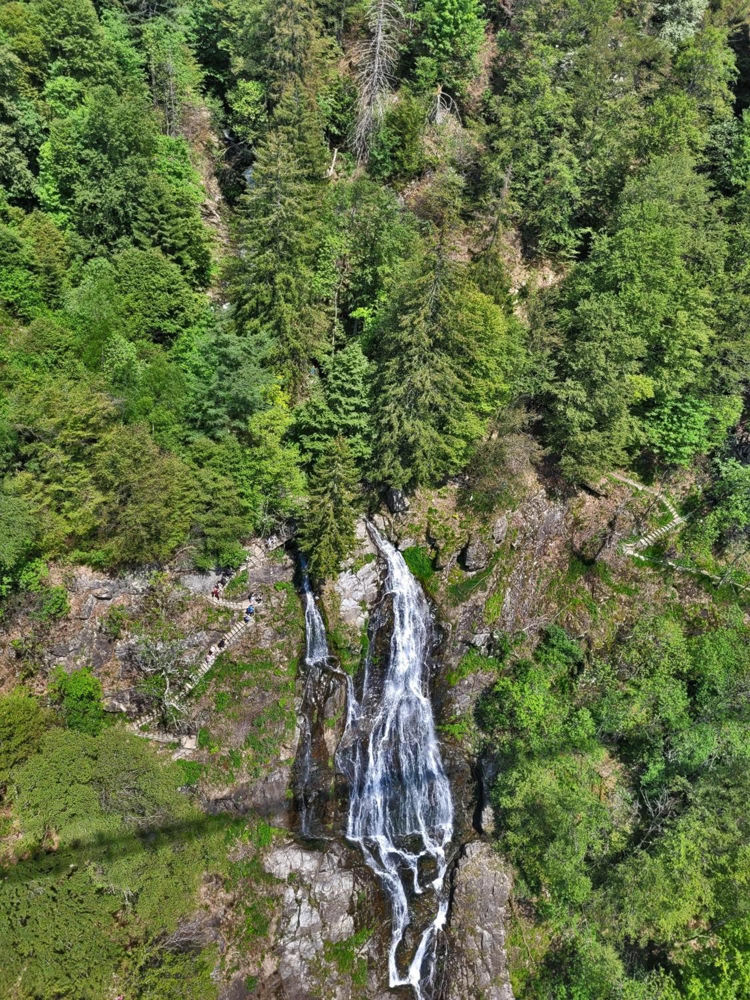 Apartment 03 - Ferienresidenz Roseneck, Mit Schwimmbad In Todtnauberg Bei Feldberg Dış mekan fotoğraf